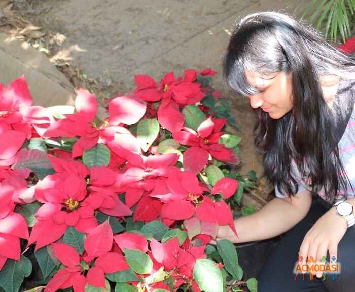Mahika  Jain photo №106979. Uploaded 26 June 2017