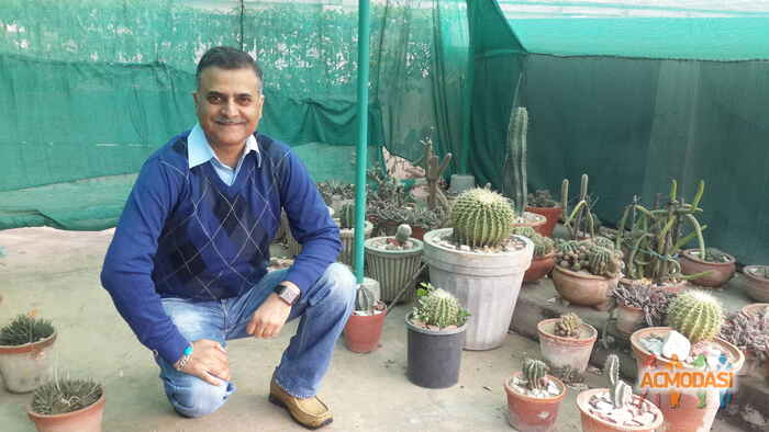 Sanjay  Kaul photo №35601. Uploaded 22 December 2015