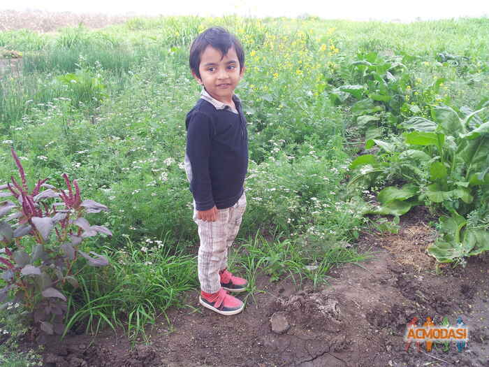 Het Ashwin Patel photo №52798. Uploaded 03 April 2016