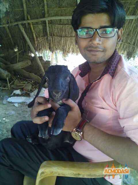 Manish Kumar Gupta photo №104290. Uploaded 18 May 2017