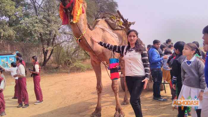 Rashmi   photo №73989. Uploaded 03 September 2016