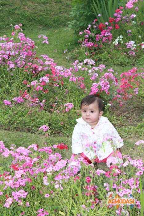 Henal   photo №8007. Uploaded 30 June 2015