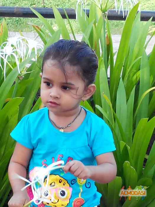 Sanvi   photo №10246. Uploaded 14 July 2015