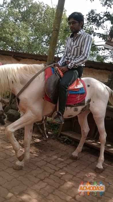 Viren Bharatbhai Gajjar photo №43838. Uploaded 31 January 2016