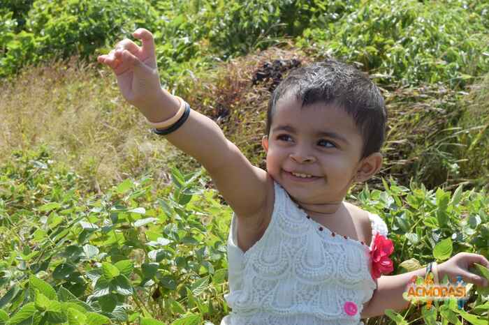 Yashvi  Vania photo №44209. Uploaded 02 February 2016