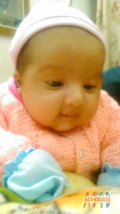 Rohan  Shegal photo №43966. Uploaded 01 February 2016