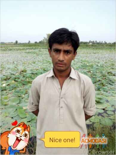 Sajid  Ali photo №20213. Uploaded 14 September 2015