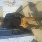 Nishit Bipinbhai Khakhar photo №44979