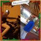 Amir Ali Shaik photo №68677