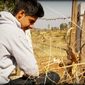 Karan  Bagga photo №64314