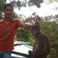 gopal  z photo №75078