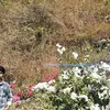 Manish  Saroj photo №127627