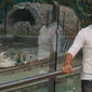 Rohit  Vaidya photo №82503