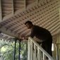 Vishal  Singh photo №58325