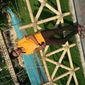 Anuj  Jain photo №36496