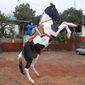 Shaivi Prashant Kamat photo №86891
