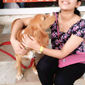 sanjana chauhan surendra chauhan photo №49190