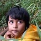 Ayan Raj Thakur photo №103364