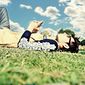 Arshad  Qureshi photo №6486