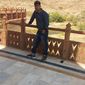 anand prakash gupta photo №99413