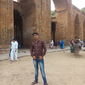 faiz ahmed painter photo №77107