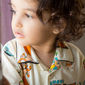 Nakshatra Kapil Chauvre photo №4748
