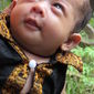 Aaradhyo  Chakraborty photo №93786