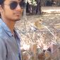 Arnav  Singh photo №86399