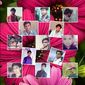 ANAND  GANESH photo №98550