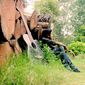 Shivam  Goodwal photo №89745