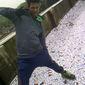 Javed  Khan photo №22558