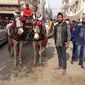 Suraj Singh  Suraj photo №80545