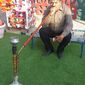 Sp  Chawla photo №42177