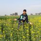 Shivam  Saxena photo №91777