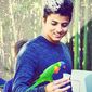 vishnu  prakash photo №96707
