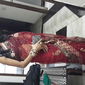 Neha  Dixit photo №16560