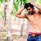 Vipin  Chaudhary photo №24529