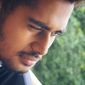 safal  vats photo №69676