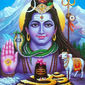 rajat   photo №79073