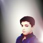 Hitesh  Arora photo №28856