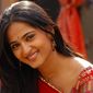 Amit  Agarwal photo №39811