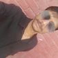 Vikrant  Singh photo №102730