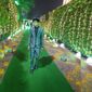 Shubham Kashayap Verma photo №84282