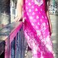 Manisha Anant Nandgaokar photo №66230