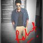 Rohit  Jadon photo №10821