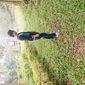 Vishwajeet  Kumar photo №33601