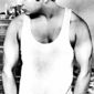 Saif   photo №9074