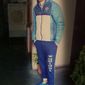 Himanshu Thakur  photo №89005