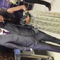 Neha  Dixit photo №16561