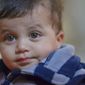Hridyansh Manish Chevli photo №44000